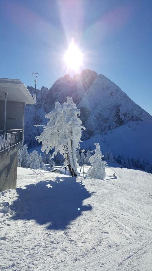 Gaestehaus Walpurga Russbach am Pass Gschütt Eksteriør billede